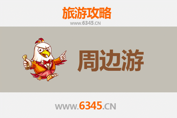海南定安翰林镇周边深度游攻略：探秘火山古村与绿色田园